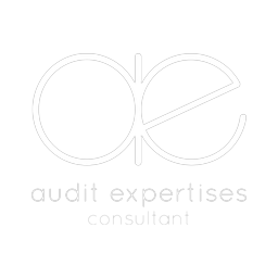 Audit Expertises Consultant